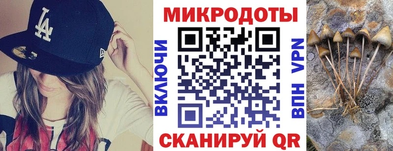 Псилоцибиновые грибы Cubensis  Купить где  Новокубанск 